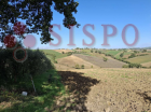 MONTEFALCO (PG) FRAZ. TURRITA LOC. CORTIGNANO E LOC. CAMIANO LOTTO 2