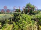 MONTEFALCO (PG) LOC. COLLE SAN CLEMENTE LOTTO 4/a